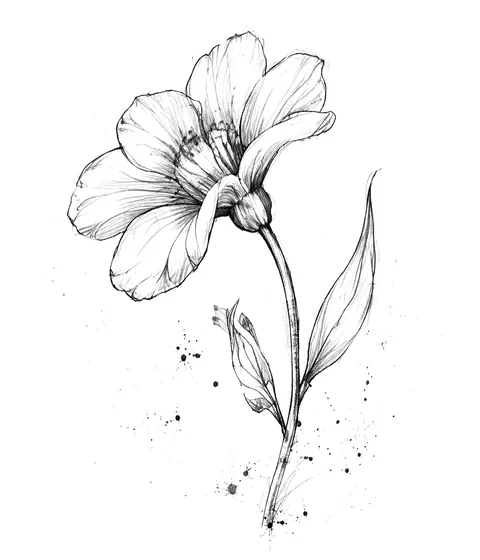 Bloom