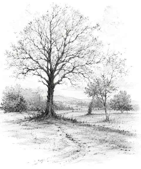 Silent place