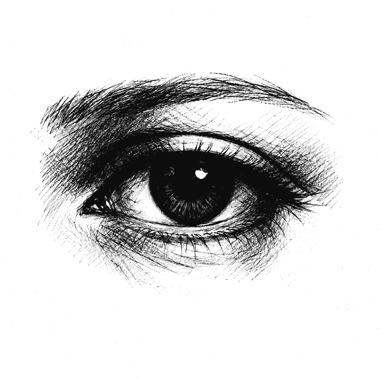Eye sketch