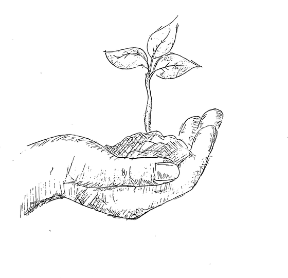 Plant and hand